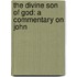 The Divine Son Of God: A Commentary On John