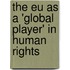 The Eu As A 'Global Player' In Human Rights