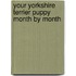 Your Yorkshire Terrier Puppy Month by Month