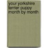 Your Yorkshire Terrier Puppy Month by Month