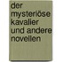 Der mysteriöse Kavalier und andere Novellen