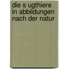 Die S Ugthiere in Abbildungen Nach Der Natur door Georg August Goldfuss