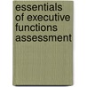 Essentials of Executive Functions Assessment door Lisa A. Perkins
