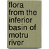 Flora from the Inferior Basin of Motru River