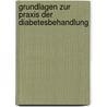 Grundlagen Zur Praxis Der Diabetesbehandlung door Otto Kunz