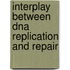 Interplay Between Dna Replication And Repair