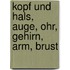 Kopf Und Hals, Auge, Ohr, Gehirn, Arm, Brust