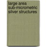 Large Area Sub-Micrometric Silver Structures door Noemí Pérez