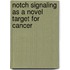 Notch Signaling As A Novel Target For Cancer