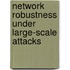 Network Robustness Under Large-Scale Attacks