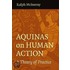 Aquinas on Human Action: A Theory of Practice