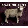 Beautiful Sheep: Portraits Of Champion Breeds door Kathryn Dun