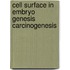 Cell Surface in Embryo Genesis Carcinogenesis