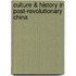 Culture & History in Post-Revolutionary China
