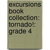 Excursions Book Collection: Tornado!: Grade 4 door Martin G. Plainfield