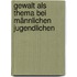 Gewalt als Thema bei männlichen Jugendlichen