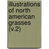 Illustrations of North American Grasses (V.2) door George Vasey