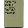Numerical Study of Dynamic Relaxation Methods door Javier Rodriguez Garcia