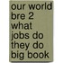 Our World Bre 2 What Jobs Do They Do Big Book