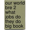 Our World Bre 2 What Jobs Do They Do Big Book by Shin