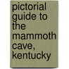 Pictorial Guide to the Mammoth Cave, Kentucky door Horace. [From Old Catalog] Martin