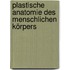 Plastische Anatomie Des Menschlichen Körpers