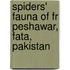 Spiders' Fauna Of Fr Peshawar, Fata, Pakistan