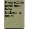 Tryparedoxin Peroxidase From Leishmania Major door Rasoul Salehi