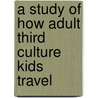 A Study of How Adult Third Culture Kids Travel by Sherin Hozaien