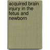 Acquired Brain Injury in the Fetus and Newborn by M. Shevell