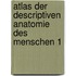 Atlas der descriptiven Anatomie des Menschen 1