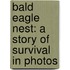 Bald Eagle Nest: A Story of Survival in Photos