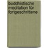 Buddhistische Meditation für Fortgeschrittene