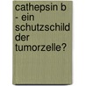 Cathepsin B - ein Schutzschild der Tumorzelle? door Miriam Ensslen