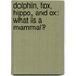 Dolphin, Fox, Hippo, and Ox: What Is a Mammal?