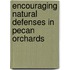 Encouraging Natural Defenses in Pecan Orchards