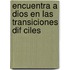 Encuentra a Dios En Las Transiciones Dif Ciles