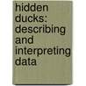 Hidden Ducks: Describing and Interpreting Data door Renata Brunner-Jass