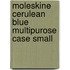 Moleskine Cerulean Blue Multipurose Case Small