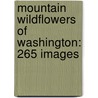 Mountain Wildflowers Of Washington: 265 Images by Jane Lundin