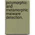 Polymorphic and Metamorphic Malware Detection.
