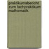 Praktikumsbericht Zum Fachpraktikum Mathematik