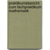 Praktikumsbericht Zum Fachpraktikum Mathematik door Beate Schmitz