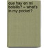 Que Hay en Mi Bolsillo? = What's in My Pocket?