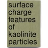 Surface Charge Features Of Kaolinite Particles door Vishal Gupta
