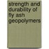 Strength And Durability Of Fly Ash Geopolymers