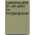 Valentine Pitié 01. Ein Stein im Morgengrauen