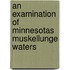 An Examination of Minnesotas Muskellunge Waters