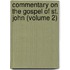 Commentary on the Gospel of St. John (Volume 2)