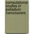 Computational Studies of Palladium Nanoclusters